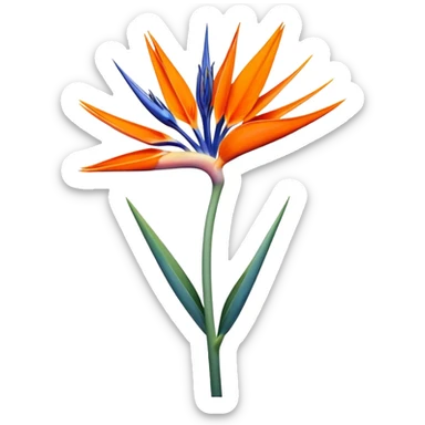 single Strelitzia Reginae, straight stem sticker