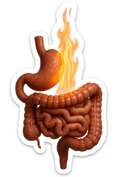 intestino e stomaco sono collegati, con una fiamma che brucia sopra, iperrealistico 4k, non disegnato sticker