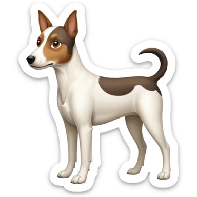 a full body large white floppy eared parson russell looking dog the size of a kelpie with light brown ears and a light brown patch on one eye and a large snout sticker