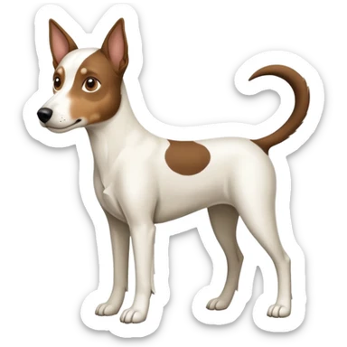 a full body large white floppy eared parson russell looking dog the size of a kelpie with light brown ears and a light brown patch on one eye and a large snout sticker