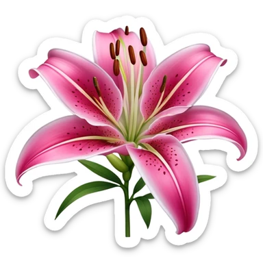 single Deep Pink Oriental Lily with White Edge, straight stem sticker