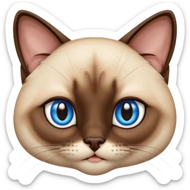 
Siamese cat face long hair sticker