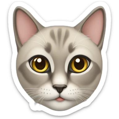 Un chat siamois  sticker