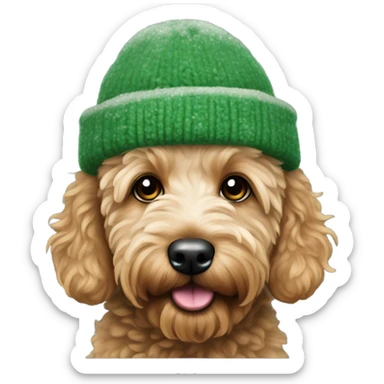 Mini goldendoodle in green winter hat  sticker