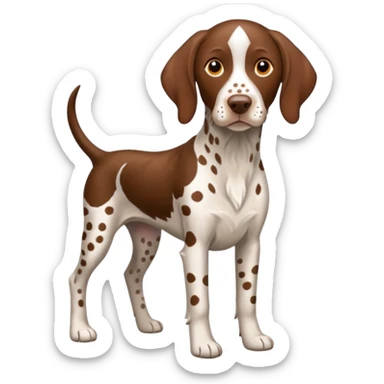 white and orange spotted german short haired pointer no tail sticker