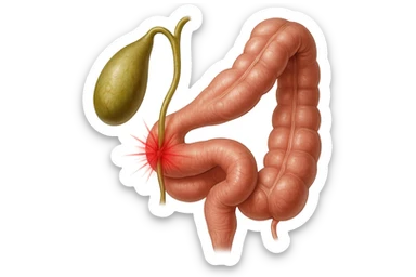 CISTIFELLEA E INTESTINO SONO COLLEGATI NEL DOLORE, iperrealistico 4k sticker