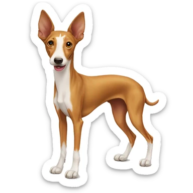 Podenco dog sticker