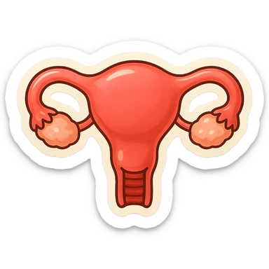 Retro stickers style variant of a uterus with soft rounded shapes, expressive contours, vintage color palette, light paper texture, shadows and highlights, transparent background. sticker