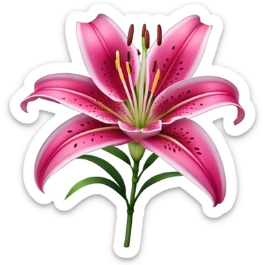 single Deep Pink Oriental Lily with White Edge, straight stem sticker
