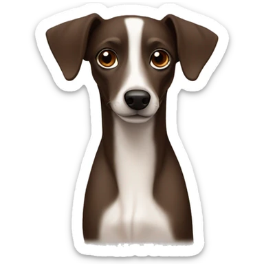 Dark brown Formosa mountain dog and Italian greyhound mix, dark brown eyes, ears up sticker