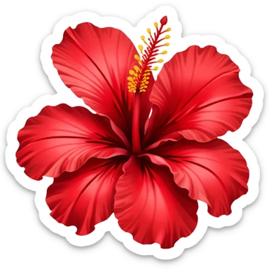 Hibiscus flowers sticker
