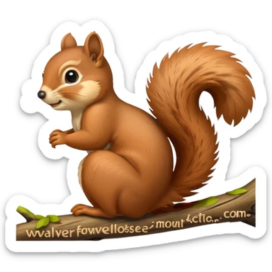 A squirrel sticker