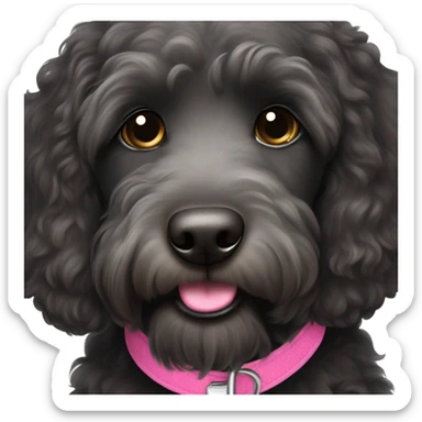 Black labradoodle female dog with a pink collar on with the name Bonnie sticker