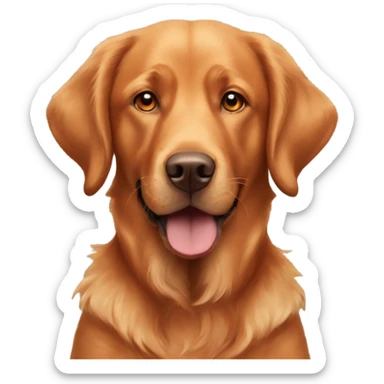Fox red Labrador and curly golden retriever sticker