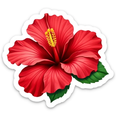 Vibrant red cotton rose hibiscus flower with large petals and prominent stamen sticker
