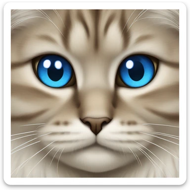 Siberian cat with blue eyes  sticker