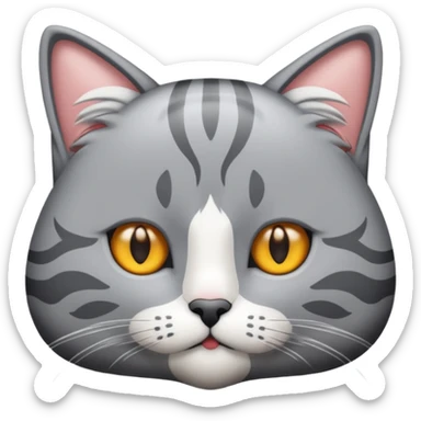 graue fluffige katze brittisch lang haar katze keine falten auf der stirn graue nase süß sticker