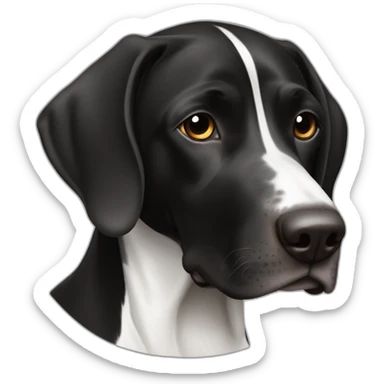 black & white german shorthair pointer, full black head with white hair on the snout sticker