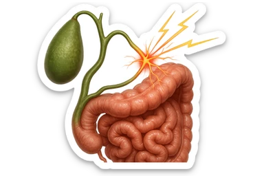 CISTIFELLEA E INTESTINO SONO COLLEGATI NEL DOLORE, iperrealistico 4k sticker