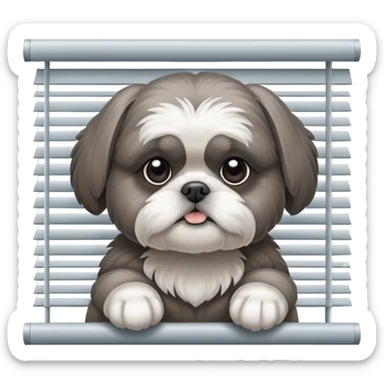 cute all grey shih tzu peeking through window blinds with one paw holding down the shade behind the shade sticker