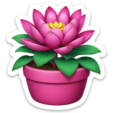Decorative fuchsia-colored flower pot with a lotus flower plant; the pot is shallow sticker