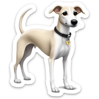 a beige whippet full body with stripes his left foot white color up up and a leash going out of frame, with a dark snout, black and white mouth patchy and black angel wing like eyes sticker