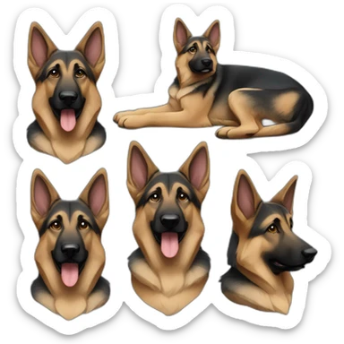 Young german shepherd with folded ear sticker