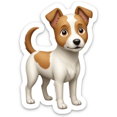 a full body large white parson russell looking dog the size of a kelpie with light brown flapped down ears and a light brown patch on one eye and a large snout sticker