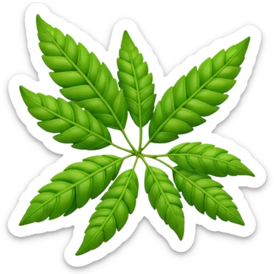 Curry leaves  sticker