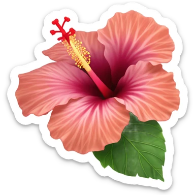 Hibiscus flower in detail sticker
