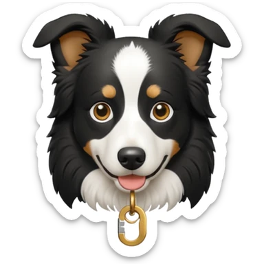 Border collie with key sticker