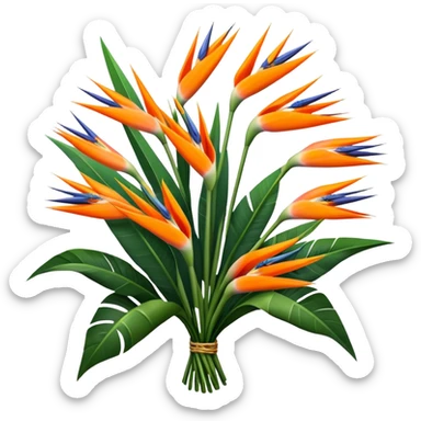 luxuriant, big bouquet Strelitzia Reginae, stem, leaf sticker