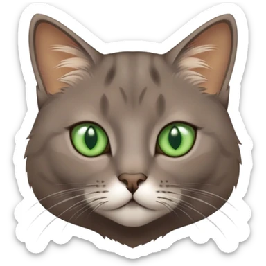brownish gray cat with green eyes close together sticker