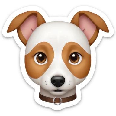 a fully white jack russell the size of a kelpie with light brown ears and a light brown patch on one eye sticker