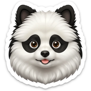 Dog pomeranian but hes like a panda the color and everything he has all black face but in the middle and nose part is white sticker