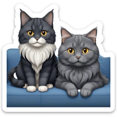 Portrait of a black smoke Maine Coon cat with long grey ear tufts, alongside a British Shorthair cat with a solid blue coat on sofa. Both cats with detailed fur textures and playful expressions. Soft, elegant background of room with warm, natural tones. Transparent background. sticker