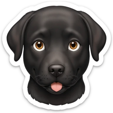 Black adult Labrador with grey on face sticker