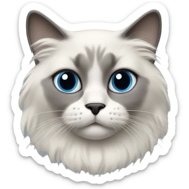 Blue colorpoint ragdoll cat with grey nose and mask sticker
