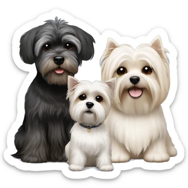 3 dogs West highland terrier and Scottish terrier and beige shih tzu sitting together friends sticker