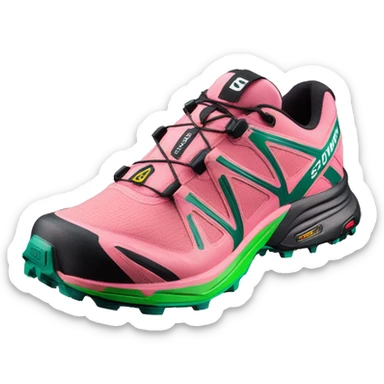 pink green salomon xt rush 2 shoe sticker