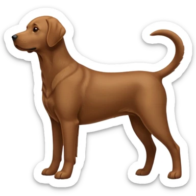Please make a brown lab one side profile full body like this: 🐕 sticker
