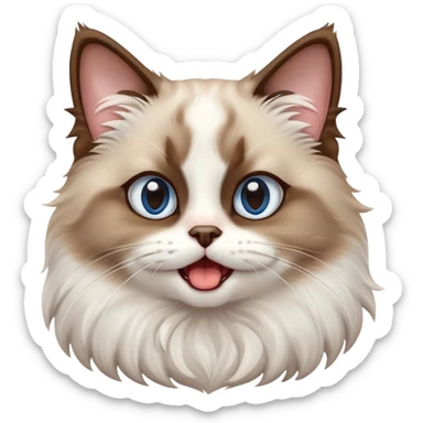 cinematic-adorable-big-eyed-fluffy-brown and white ragdoll-cat-portrait-emoji,-head-tilted-playfully-with-a-cute,-yawn,-soft-brown-and white-colored-fur-with-darker-points-on-the-ears,-simplified-yet-irresistibly-cute-features, sparkling blue eyes sticker