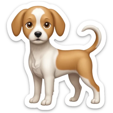 a full body white beagle x maltese x chi dog the size of a kelpie with light brown ears and a light brown patch on one eye sticker