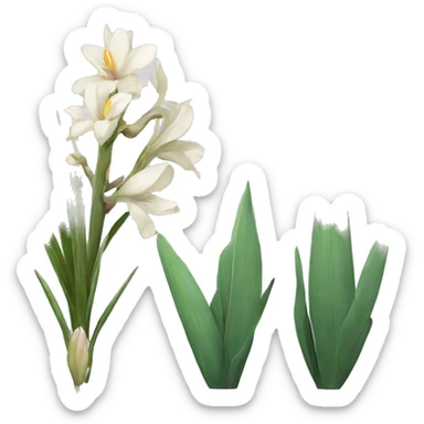yucca with iris flower and magnolia flower sticker
