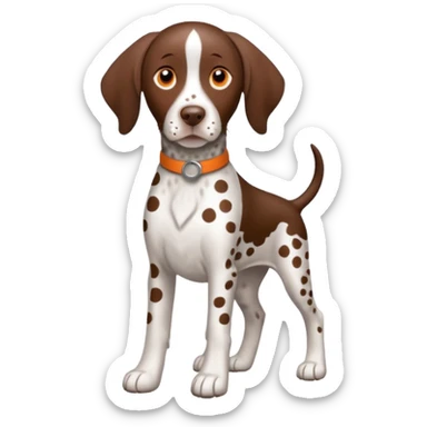 white and orange spotted german short haired pointer sticker