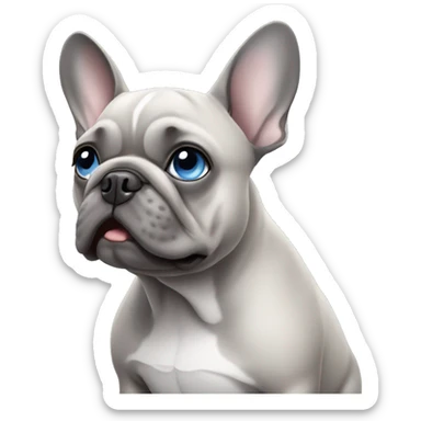 Grey french bulldog with blue eyes sticker