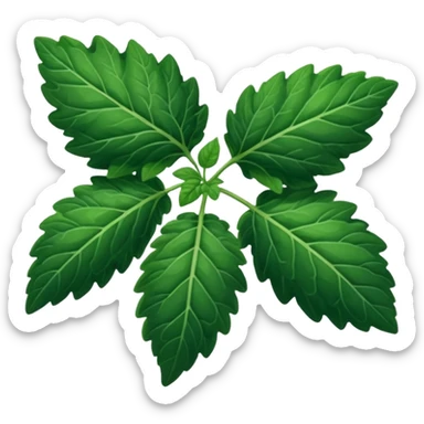 bunch of patchouli leaves sticker