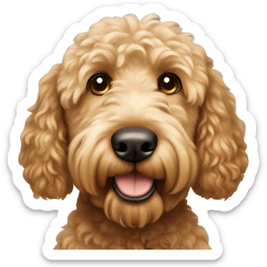 golden doodle dog with brown hair  sticker