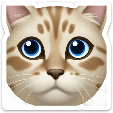 Beige birma cat Blue eyes full face and neck, darkbrown deatails sticker