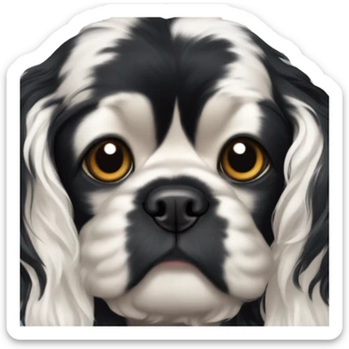Small completely black king charles spaniel with black fur on his whole face and white fur on chest sticker